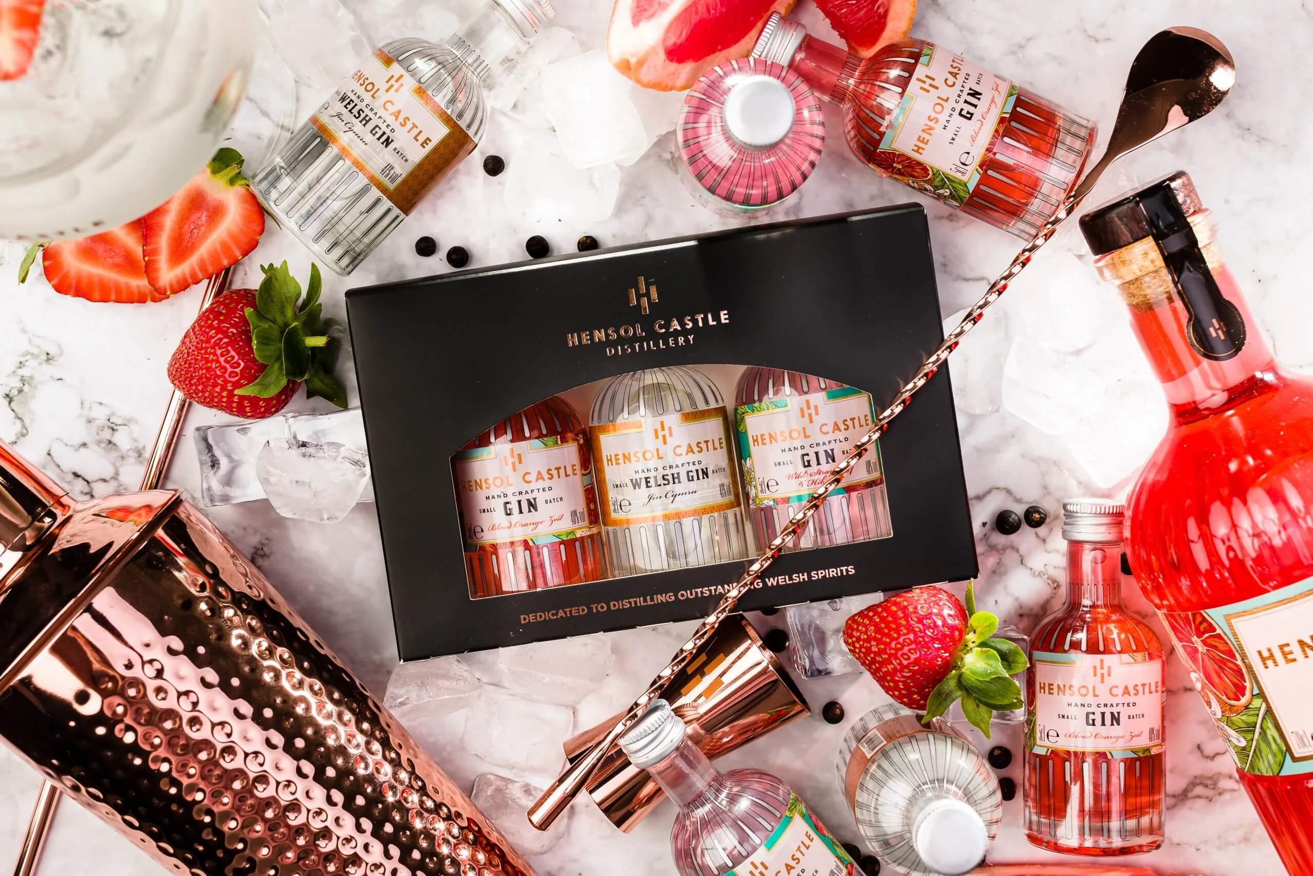 Stylish Gin Gift Set