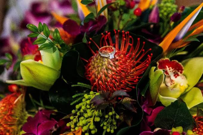 Florist Cremorne: A Local Guide to Flowers on This Side of the Harbour

