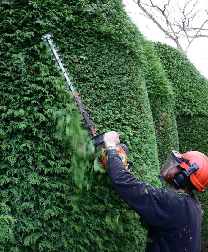 John from J. Wallwork & Co. cutting a hedge in Tunbridge Wells